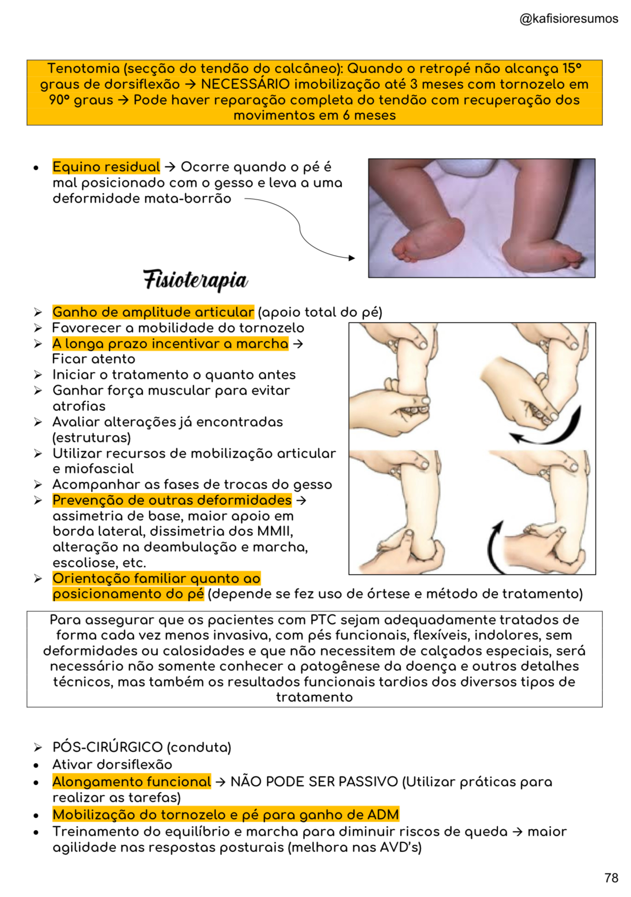 Combo De Resumos Da Fisioterapia 2 - Karen